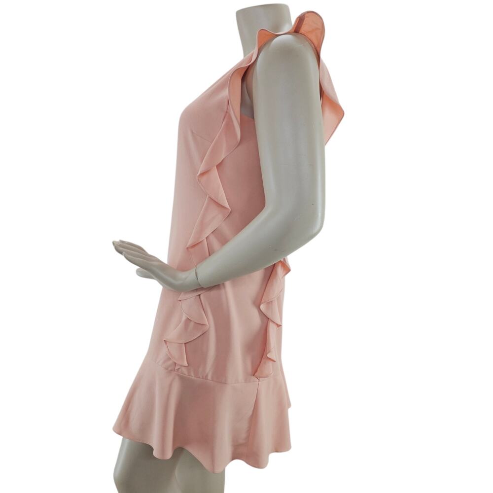 NWT Nicole Miller Studion Dress Size 14 Blush Peach Ruffled Sleeveless Lined - Picture 3 of 14